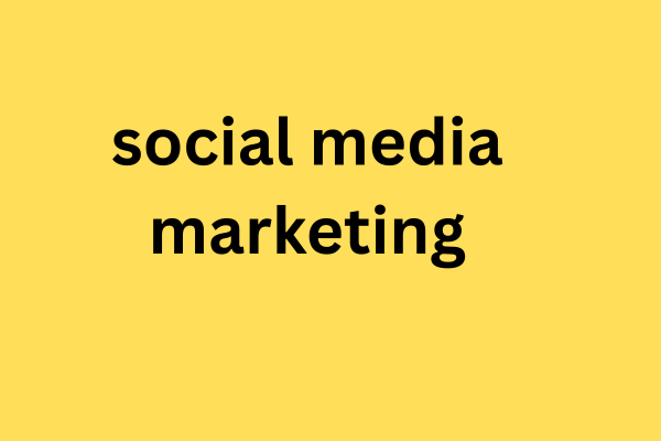 difference between seo and smo
